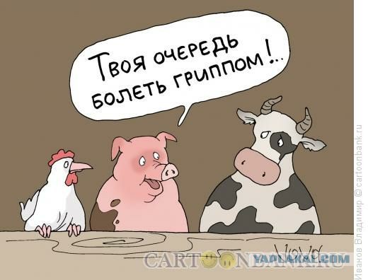 Победная поступь идиотизма по планете – том 2
