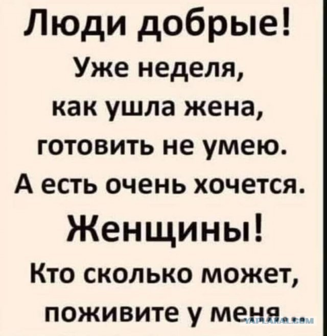 Весёлый полтишок 26.12.2022