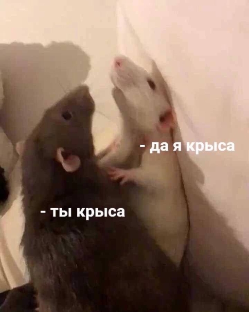 Народная меДИЧина 7016