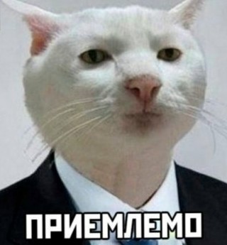 Расчленённое тело пресс-секретаря городского суда нашли в Петропавловске-Камчатском. Он пропал неделю назад