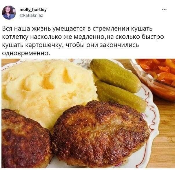 Весёлый полтишок 19.07.23