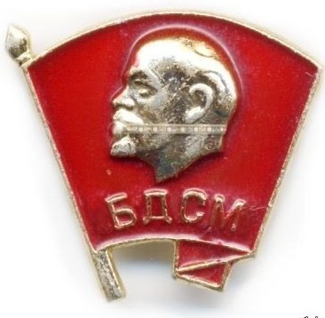 Гордость была, когда в пионерию принимали