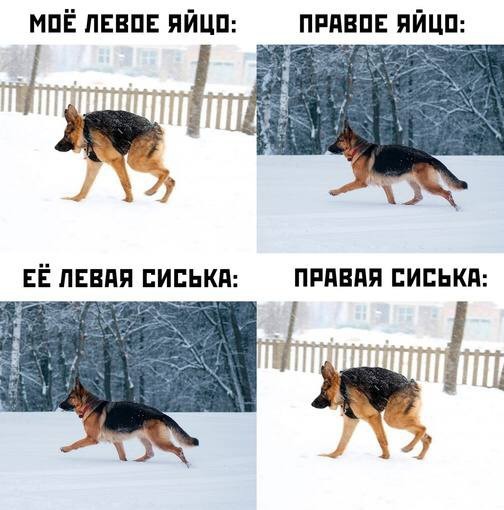 Всего понемногу. От 12.01