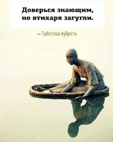 Немного забавных картинок от 22.08.2024