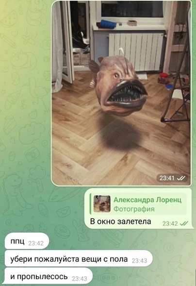 Выходите на первой же остановке