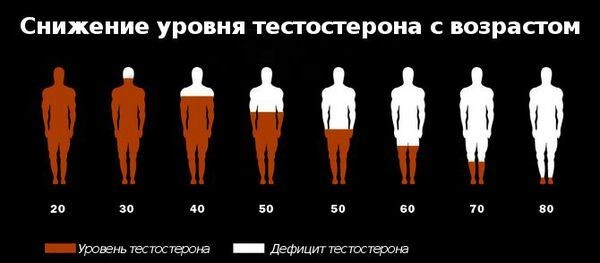 Инфантильность или «чилл» у мужчин 40+?