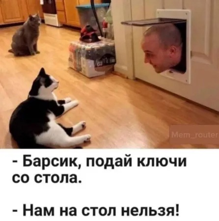 Так себе картинки 02.12.24