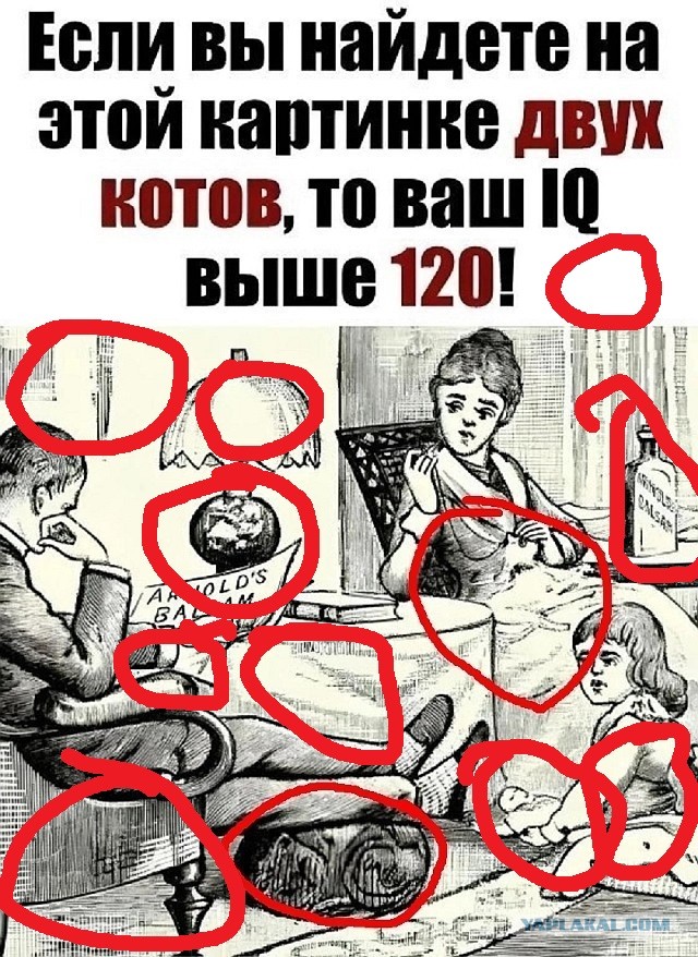 Так себе картинки 16.03.25