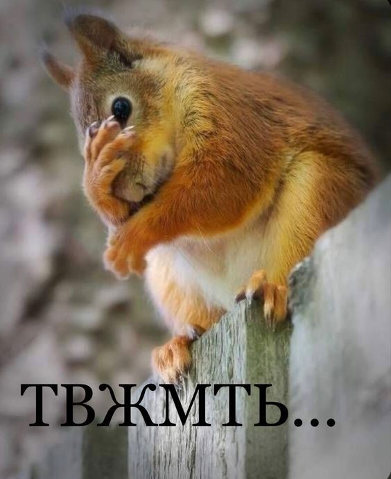Мистика на Патриарших