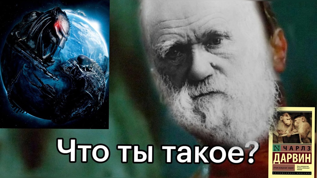 Чужой и Хищник с точки зрения биологии