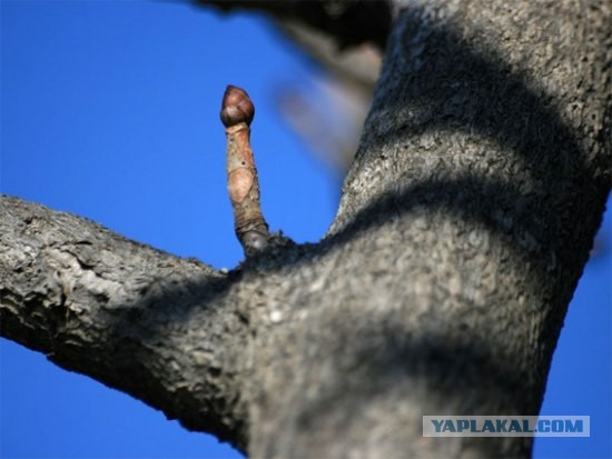 Анонимные секреты людей. 18+