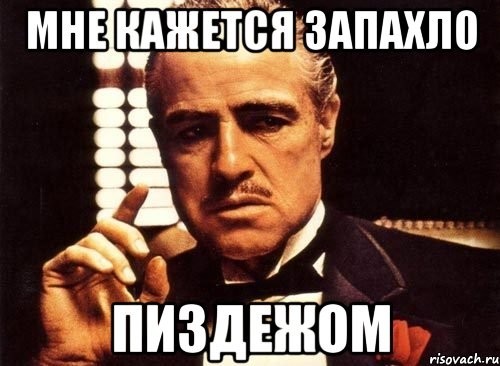 Госмессенджер Max снимает вас на камеру каждые 5–10 минут