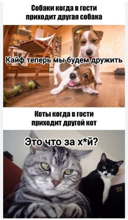 Маленькая пятница 20.08.25