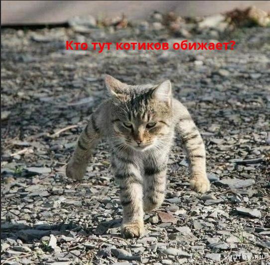 Смотри как умею! ... Ладно, давай в следующий раз.