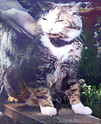 Кот Максим