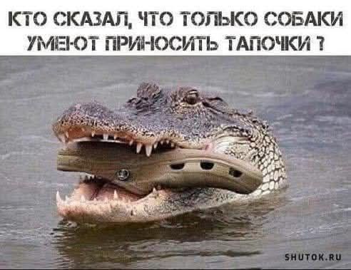 Предновогодние бояны