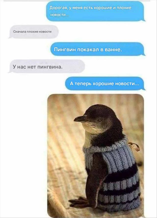 Всё как у людей...