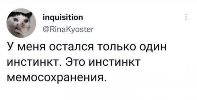 Среды картинки