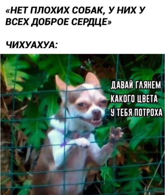 Изображения для сокращения лицевой мускулатуры #4