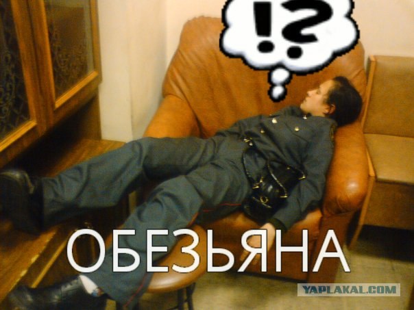 Самый бдительный охранник