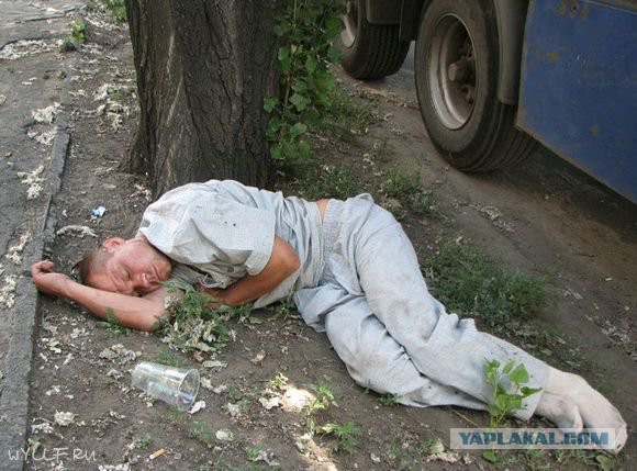 Как я пива попил