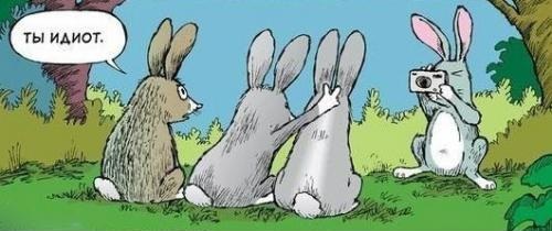 Весёлые картинки. Разбавим будни