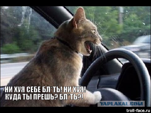Крик души!
