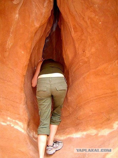 29 удивительных фактов о женщинах