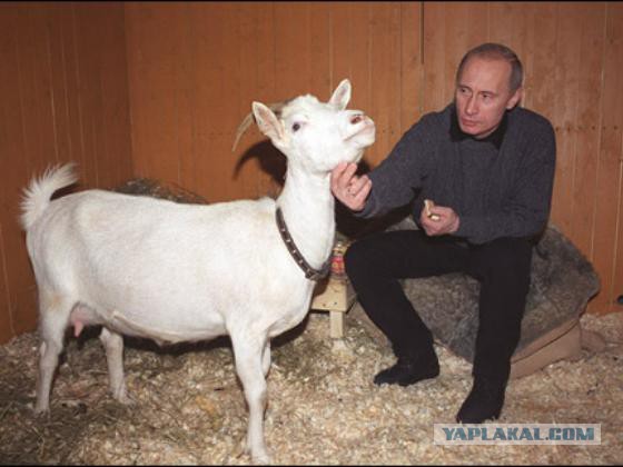 Путин пообещал освободить Кубу от блокады США