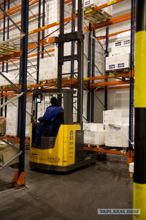 Экскурсия на самой большой холодильник в Украине.