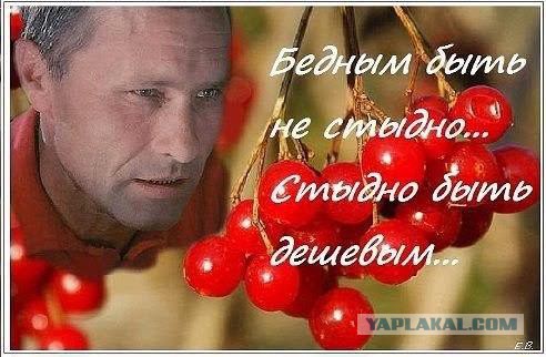 Мозг ватника, или почему я не либераст