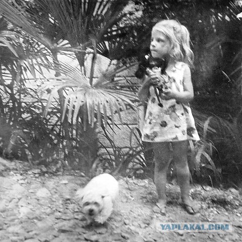 Последняя фотосессия 16-летнего друга