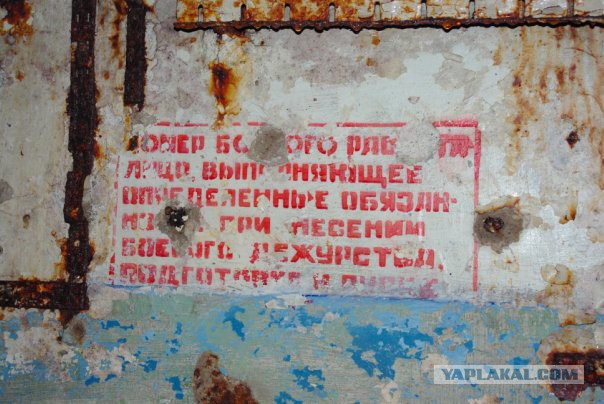 Путешествие по Лен. области (41 фото)