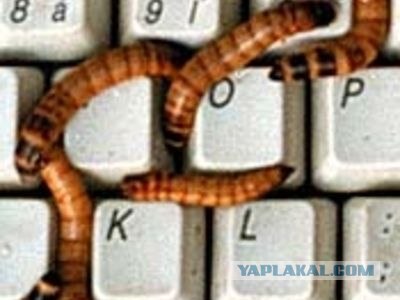 Названия программ бывают разные