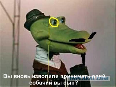 Яценюк о Путине