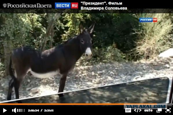 Почему Запад демонизирует Путина?