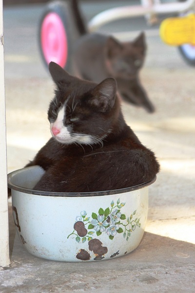 Фотоподборка очень удобных кастрюль