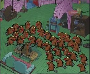 Старики плохого не посоветуют