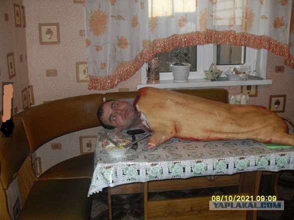 Ужасы и приколы из соцсетей 18+