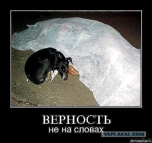 Новое - хорошо забытое старое