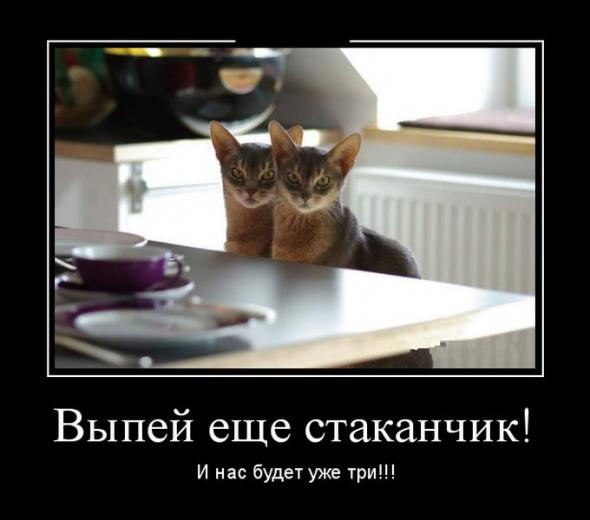 Фотоприколы