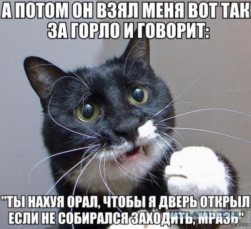 Веселые картинки