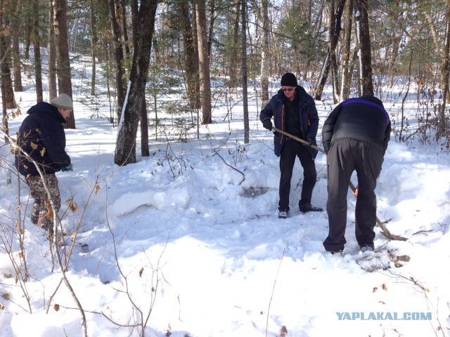 Кулинарное поздравление девчонкам ЯПа