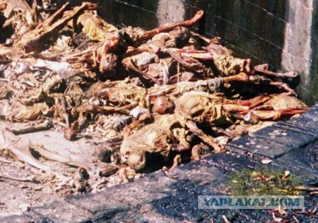 Путешествие по Ирану