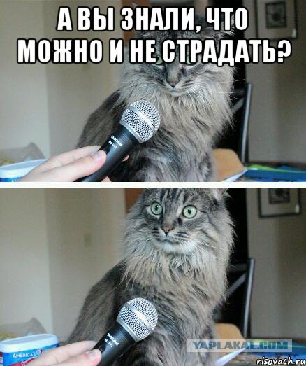 Бьёт - значит любит?