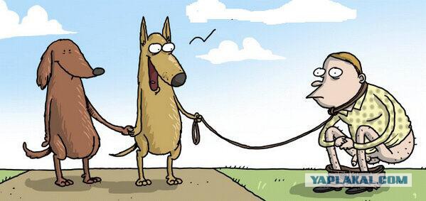 Абсурдный юмор ч. 23