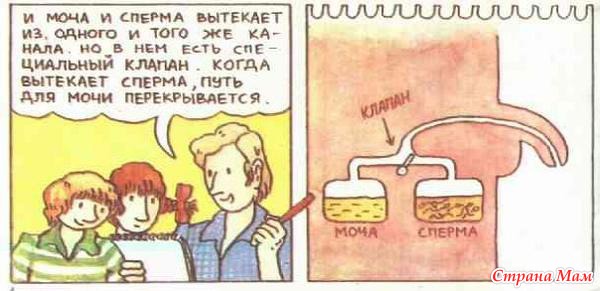 Книжные маразмы и приколы