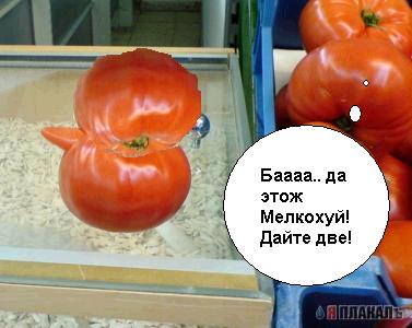 Эта сексуальная природа. РАСТЕНИЯ, ПЕЙЗАЖИ