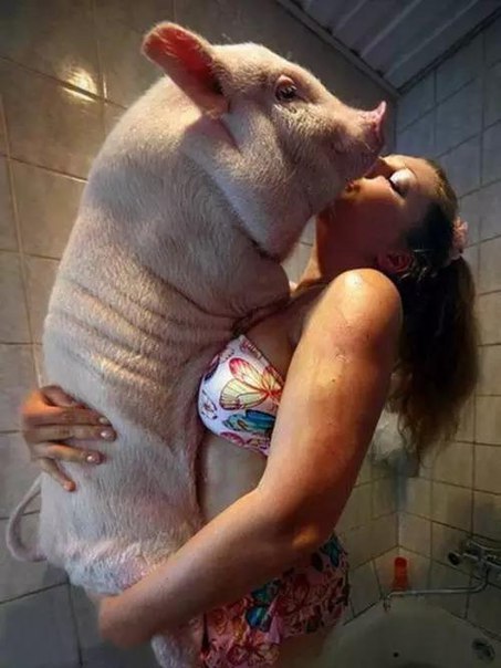 Ужасы и приколы из соцсетей 18+