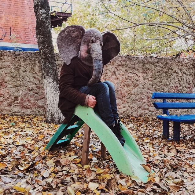 Пьяный хобот: слон фотографируется в самых печальных местах России